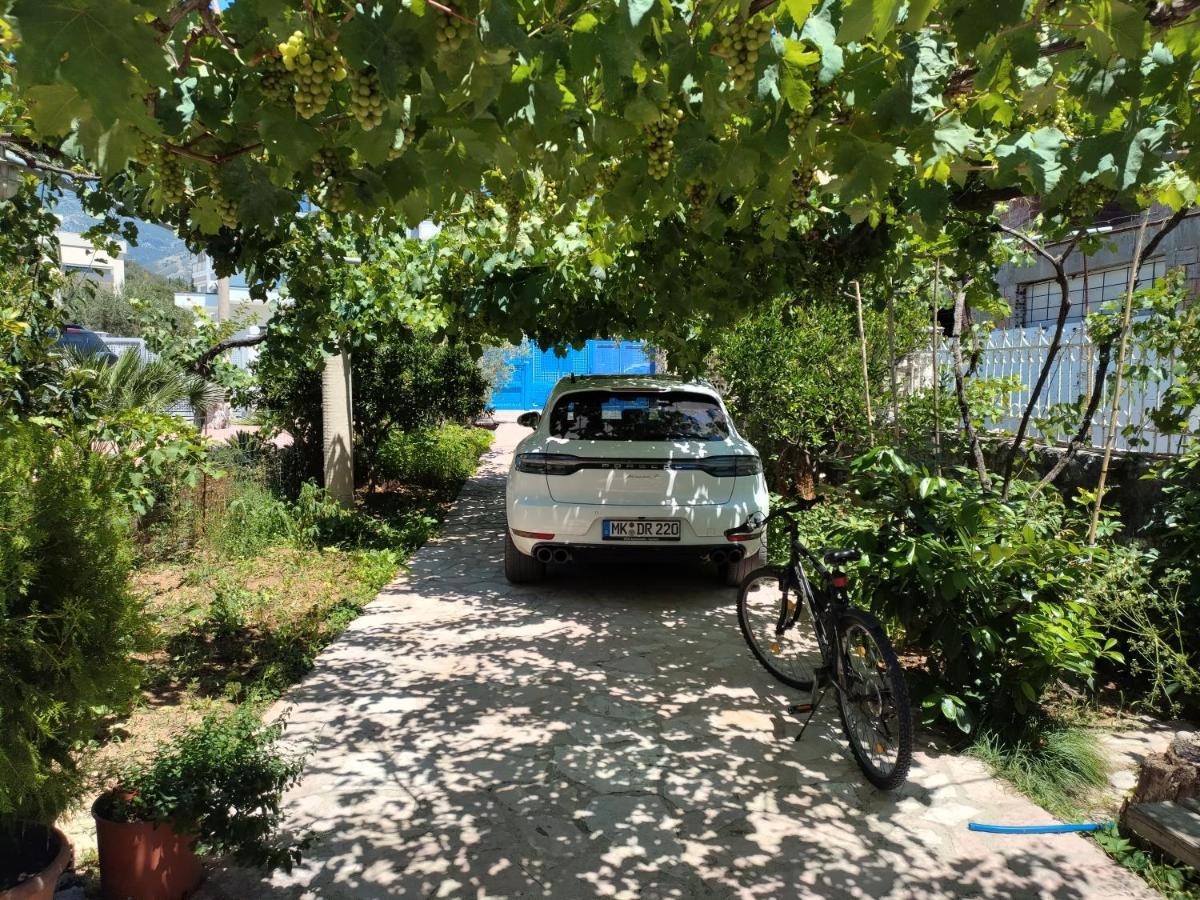 Magic Ionian Apartments & Rooms Himare Exterior photo